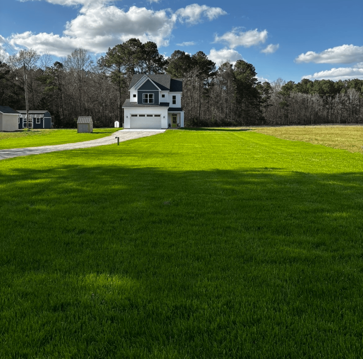 After hydroseeding: vibrant thick grass